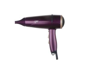 Professional Hair Dryer-HD-3230